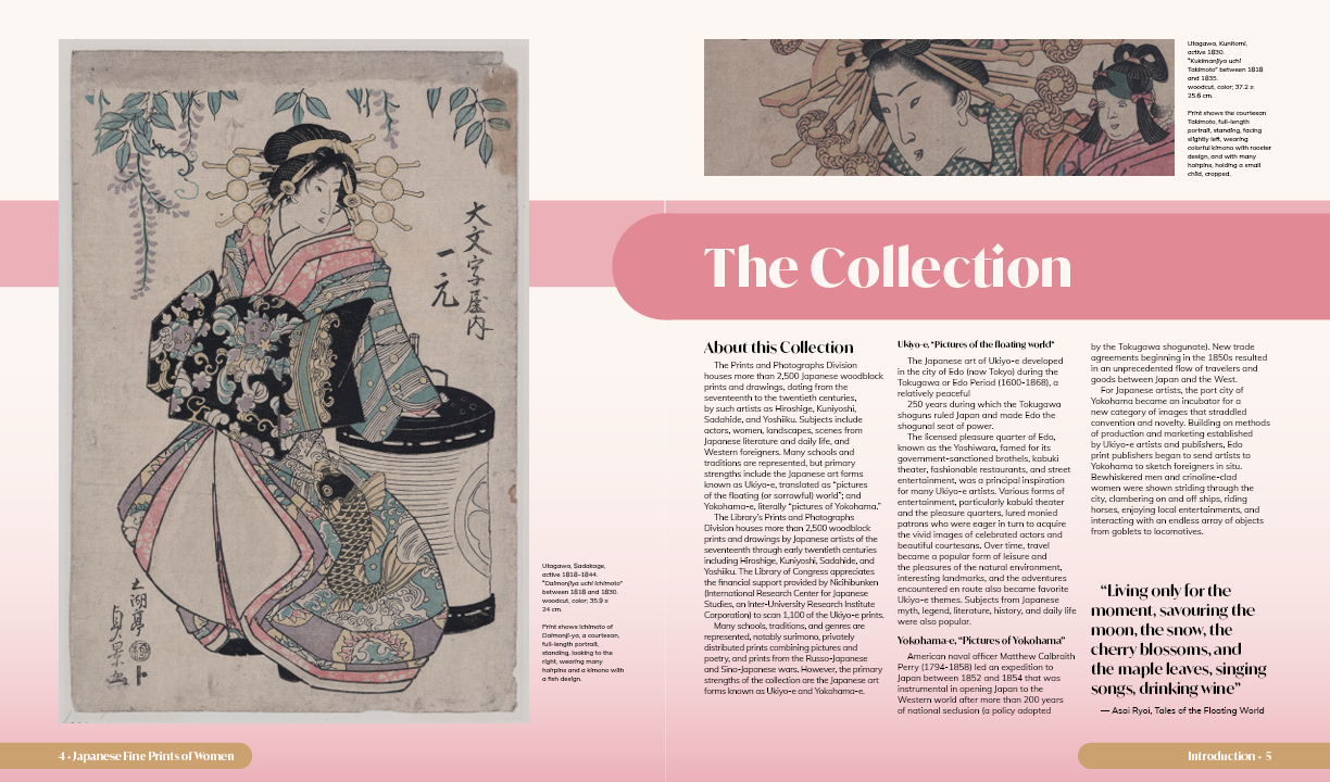 About the Collection